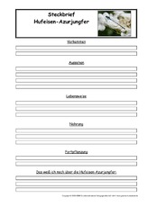 Hufeisen-Azurjungfer-Steckbriefvorlage.pdf